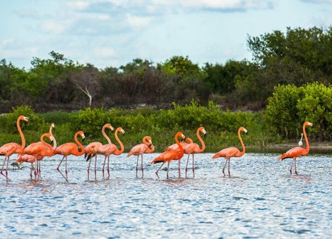 Autotour A La Decouverte Du Yucatan - De Cancun A Cancun - 3