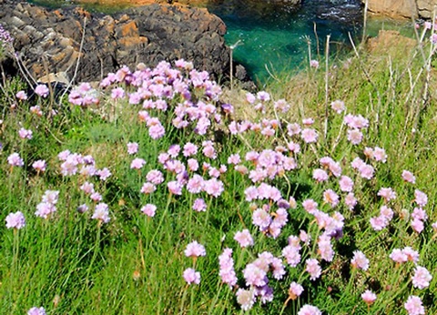 Camping West, 3* - 23