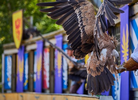 Camping Villa Campista, 3* - 41