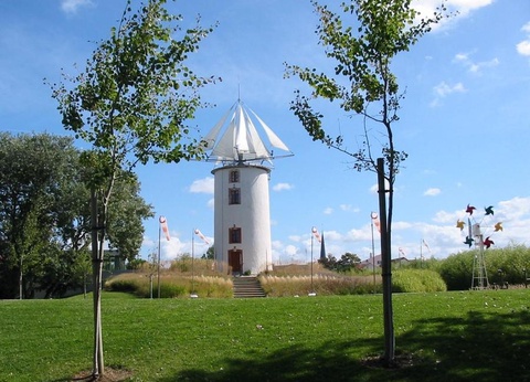 Camping L'Albizia, 4* - 41