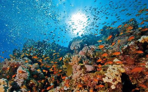 Hôtel Concorde Moreen Beach Resort 5* - 7