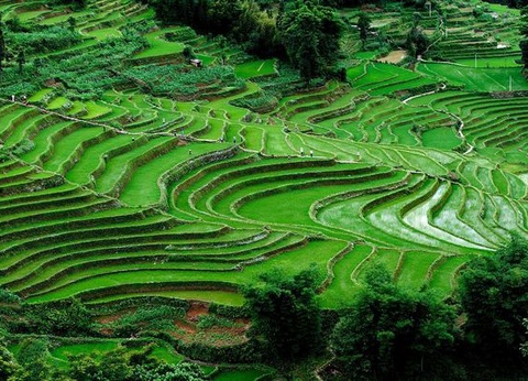 Circuit Immersion au Yunnan 15J/12N - 7