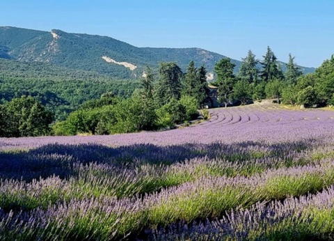 Camping Le Luberon | Pausado, 4* - 35