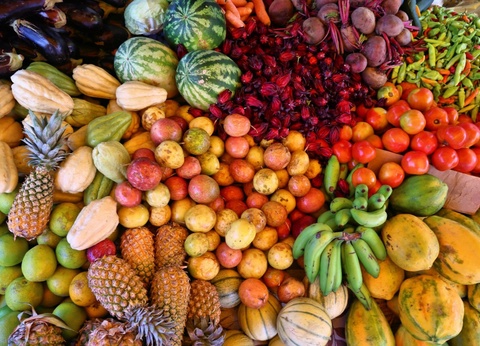 Circuit Évasion Caribéenne : Guadeloupe et Dominique - 6