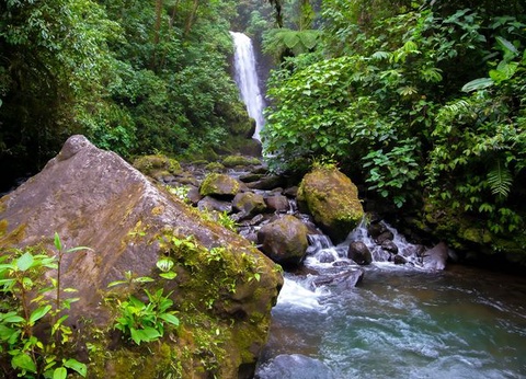 Circuit Explorations du Costa Rica et Extension Playa Tambor - 4