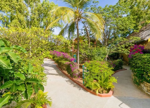 Hôtel Les Bougainvillées 3* - 2