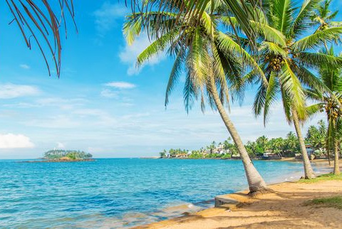 Immersion au Sri Lanka - 15