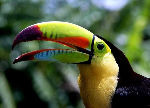 Circuit sur un air de samba - 11