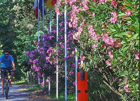 Camping Bella Vista, 3* - 48