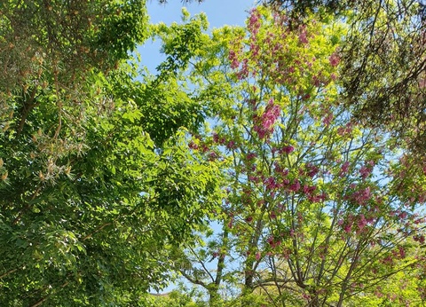 Camping Les Lavandes, 3* - 15