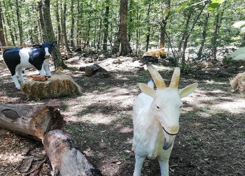 Orlando in Chianti Glamping Resort, 3* - 11