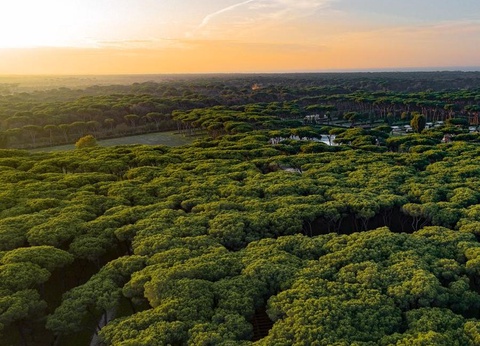 Camping Roma Capitol, 4* - 27