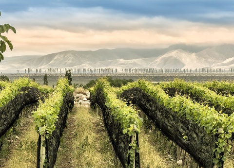 Circuit Rencontres argentines - 2