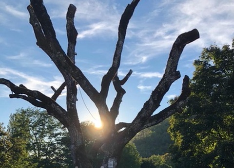 Camping le Trel, 3* - 6