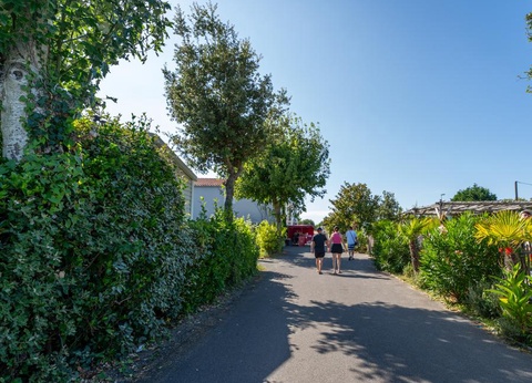 Camping L'Abri des Pins, 4* - 135