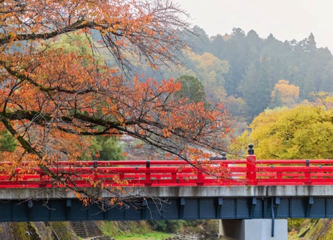 Circuit Traditions et culture du Japon 3* - 33