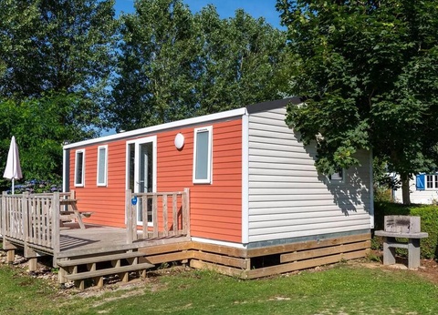 Flower Camping Vitamin, 4* - 27