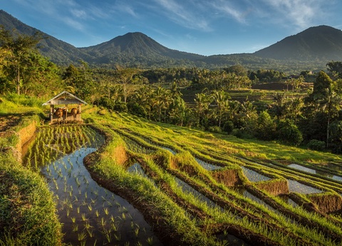 Circuit Java Bali, perles de l'archipel - 16