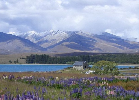 CIRCUIT LA NOUVELLE ZELANDE EN LIBERTE ET UN GOUT D'EDEN - 10