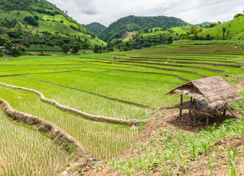 Circuit Richesses et traditions de Thaïlande - 19