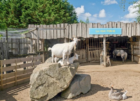 Camping La Grand Métairie - Camping Paradis, 4* - 10