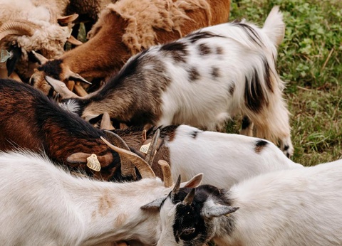 Slow Village Séveilles, 5* - 23