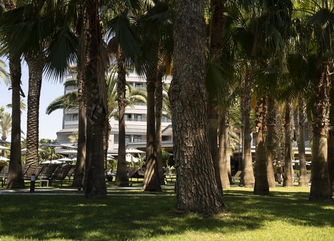 Hôtel Miramare Beach 5* - 45