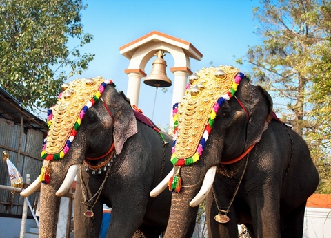 Merveilles de l'Inde du Nord 15J/12N - 2025 - 15