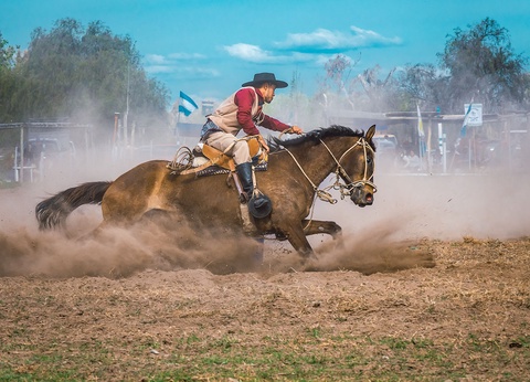 Tango, Iguazu et glacier - 9