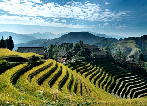 Circuit Chine traditionnelle - 11