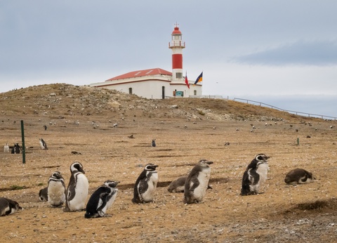 Circuit Merveilles de l'Argentine / Chili et Croisière Cap Horn - 13