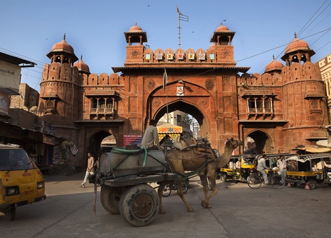 Circuit Passionnément Rajasthan en privatif 3* - 12