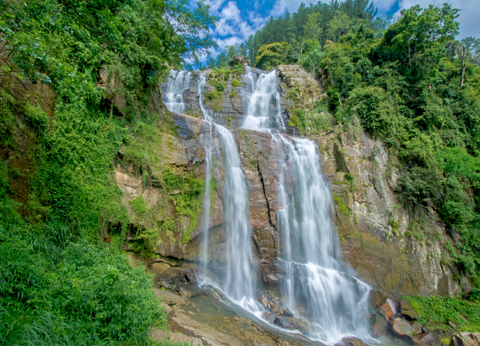 Circuit Le Royaume des Eléphants et plage en privatif - 2