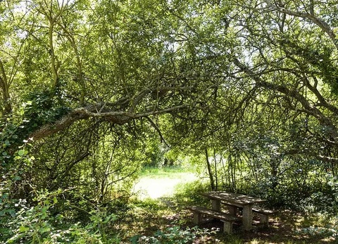 Camping maeva Respire Le Domaine de Mesqueau, 4* - 19