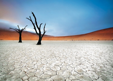 Circuit Trésors d'Afrique australe - 5