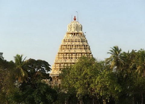 Circuit privé Un Sud épicé - 8