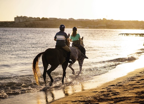 Hôtel Mövenpick Resort Sharm El Sheikh - 75