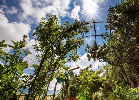 Camping Village El Bahira, 4* - 42