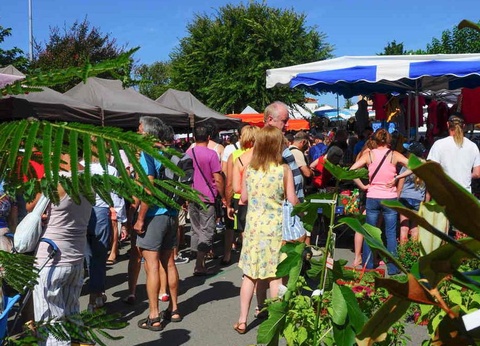 Camping Parfums d'Eté 4* - 64