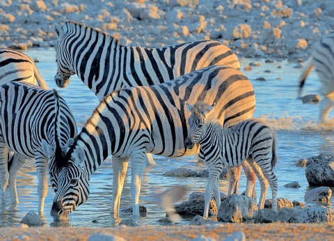 Circuit Trésors d'Afrique australe - 15
