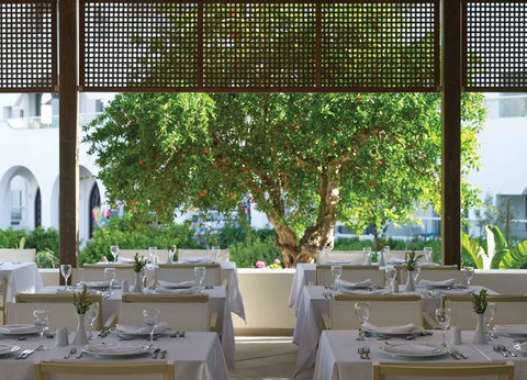 Hôtel Atlantica Akti Zeus 4* - 6