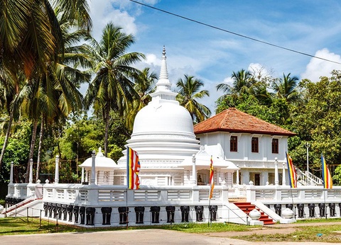 Circuit Secrets du Sri Lanka en petit groupe : culture, plages sauvages et safari 4* - 5