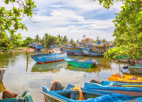 Circuit Secrets du Sri Lanka en petit groupe : culture, plages sauvages et safari 4* - 4