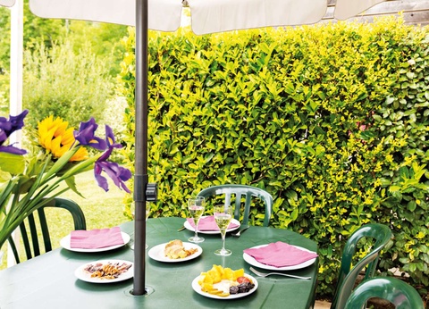 Résidence Lagrange Le Clos des Vignes 3* - 6