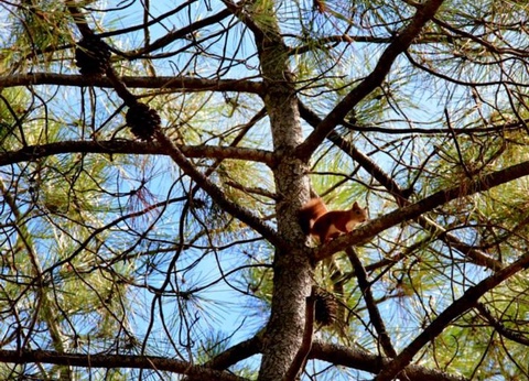 Camping La Tamarissière, 4* - 29