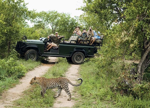 Circuit Afrique Australe, du Cap et Hermanus aux chutes Victoria - 5