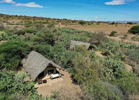 Safari Privatif - Aventure Tanzanienne - 37