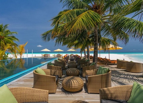 Hôtel Dhigufaru Island Resort 5* - 2