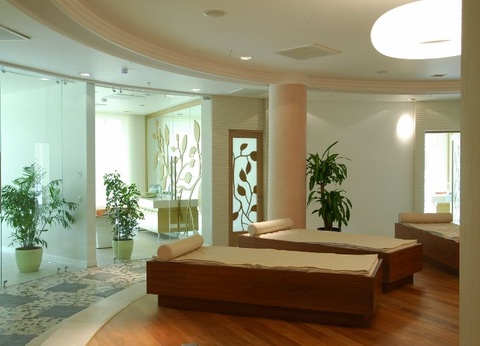 Hôtel Splendid Conference Spa Resort 5* - 11