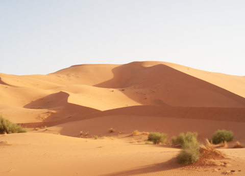 Circuit Caravane Impériale: De la Medina aux merveilles du Désert - 6